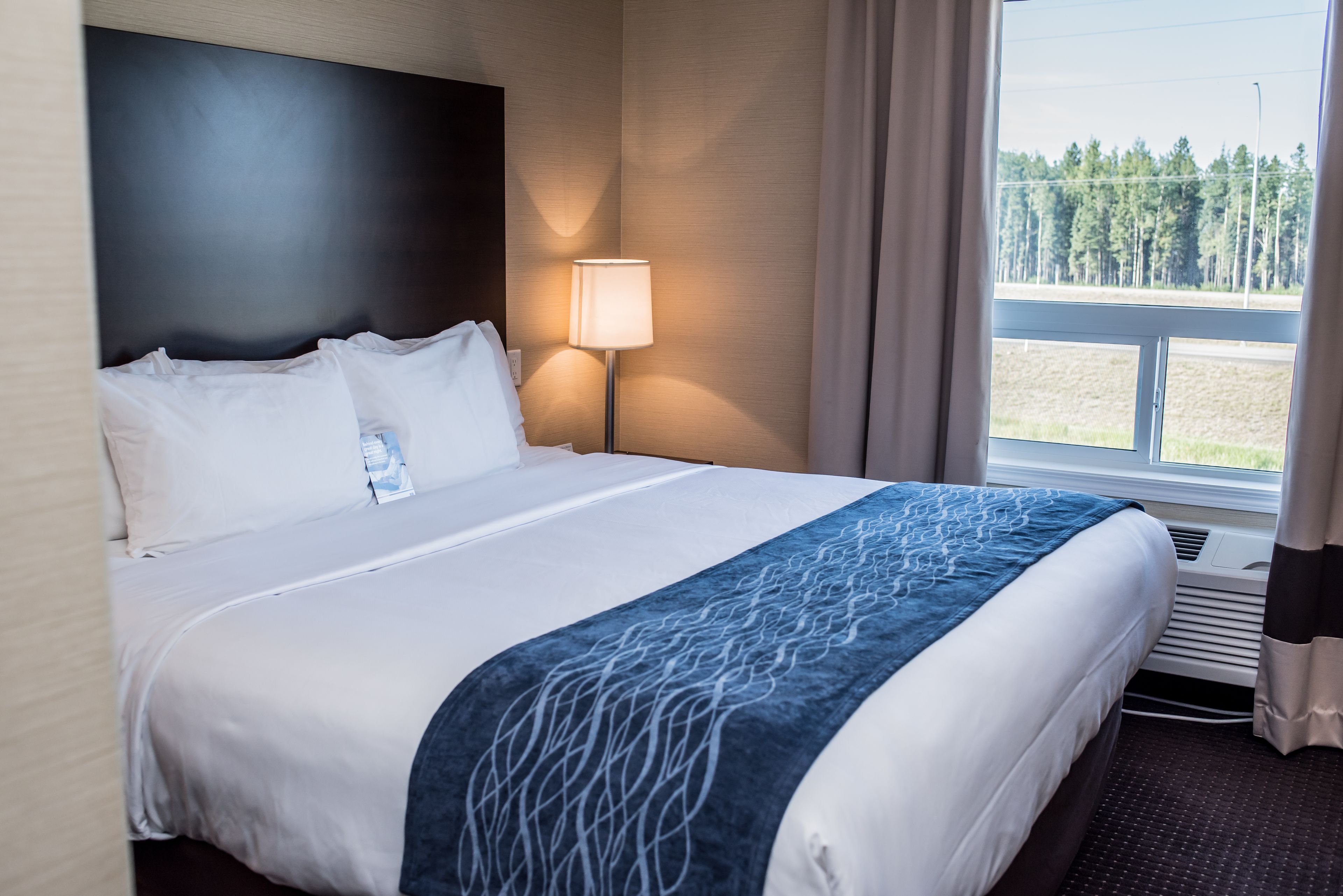 suite, 1 king bed with sofa bed, non smoking | pillow-top beds, minibar, iron/ironing board, free cots/infant beds