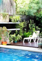 Un área junto a la piscina con terraza de madera, sillas reclinables blancas y diversas macetas con plantas.