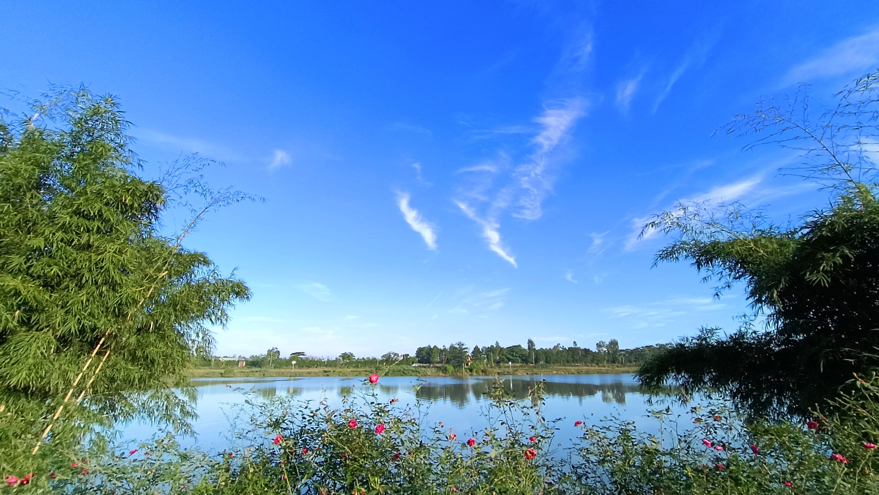 land view from property