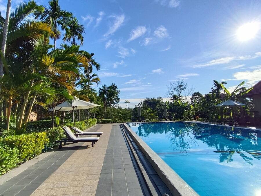 Outdoor pool, sun loungers