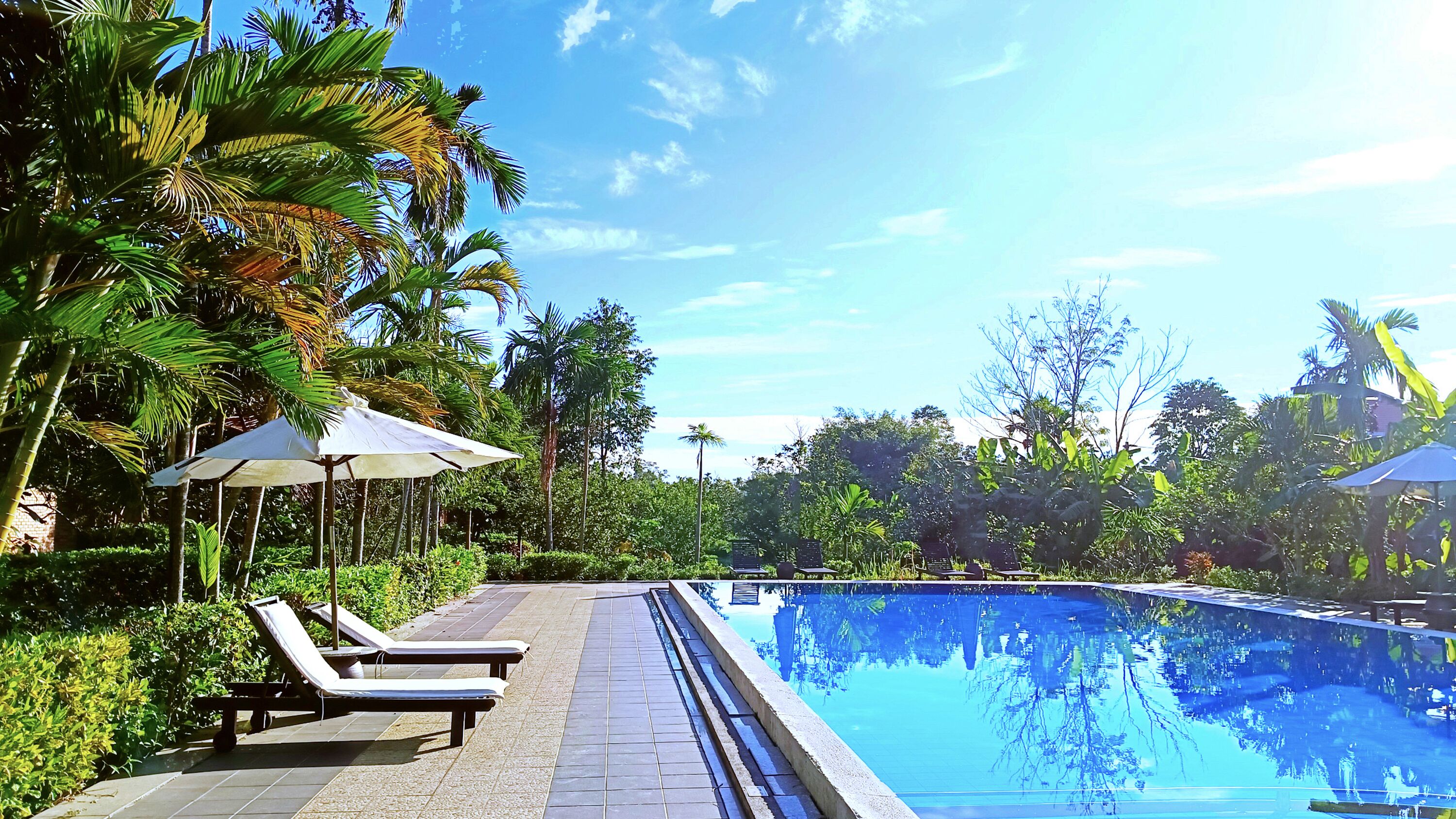 outdoor pool, pool loungers
