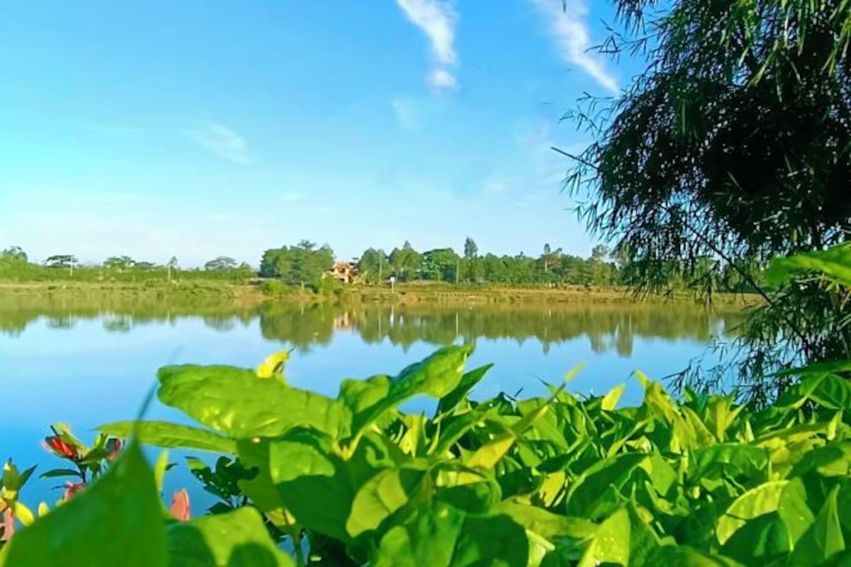 A calm lake with a clear sky and vegetation in the foreground.