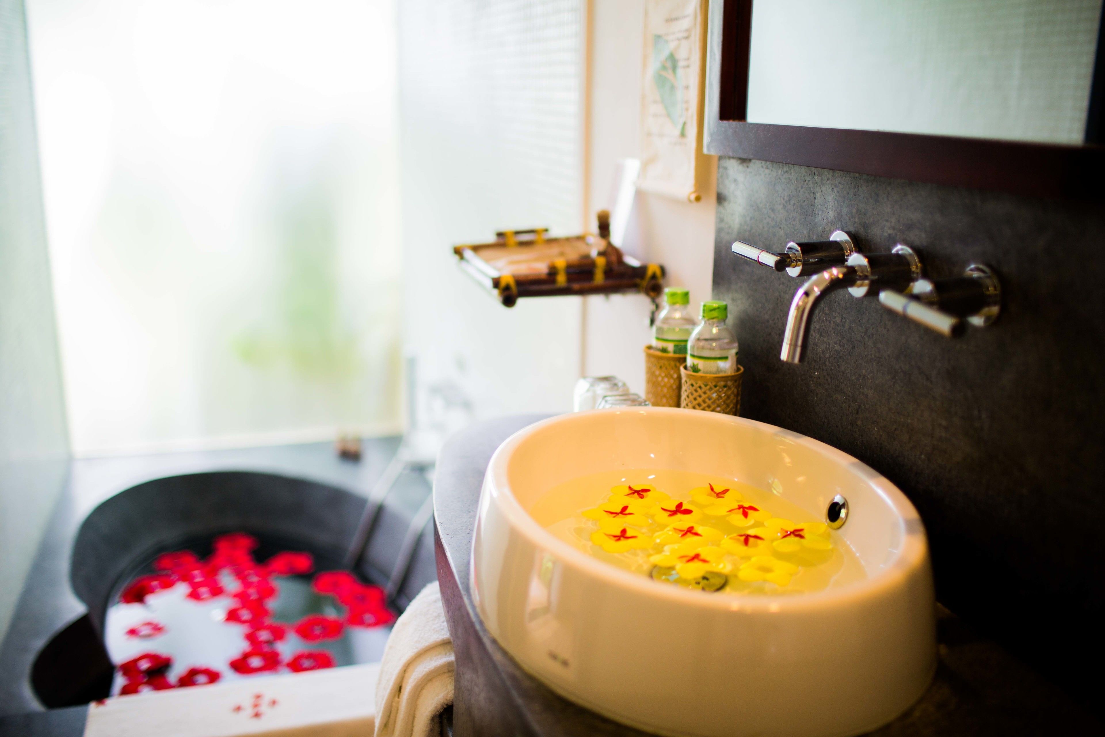 combined shower/bathtub, free toiletries, hair dryer, bathrobes