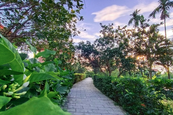 Courtyard view