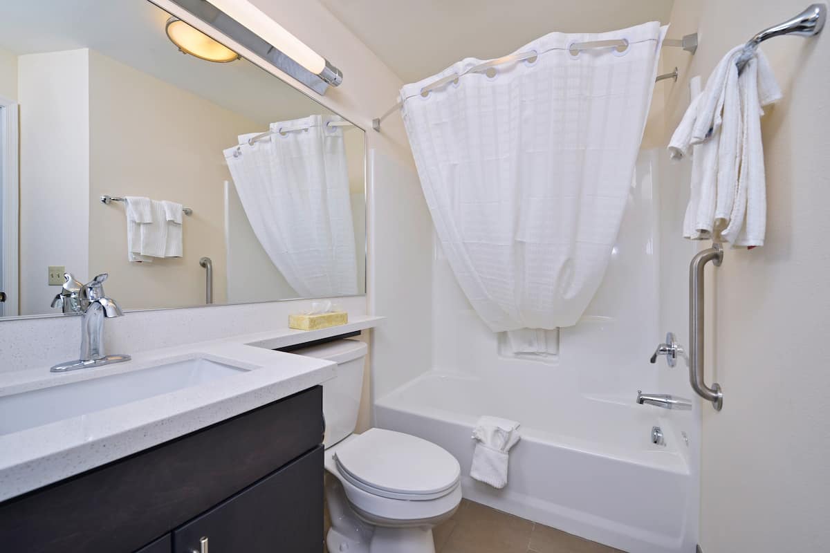 combined shower/bathtub, free toiletries, hair dryer, towels