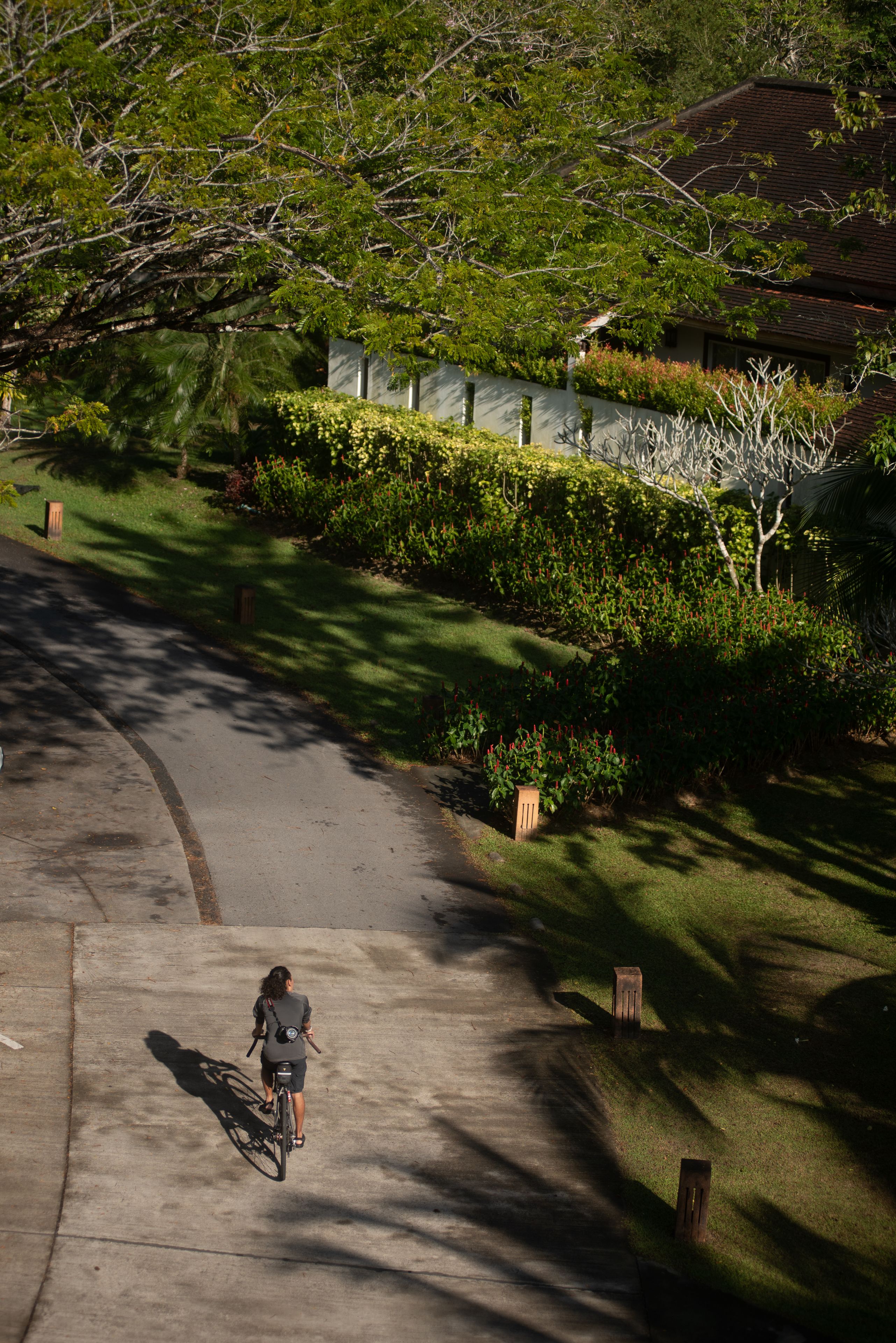 A person riding a bicycle on a paved path in a residential area with houses, greenery, and a clear sky.