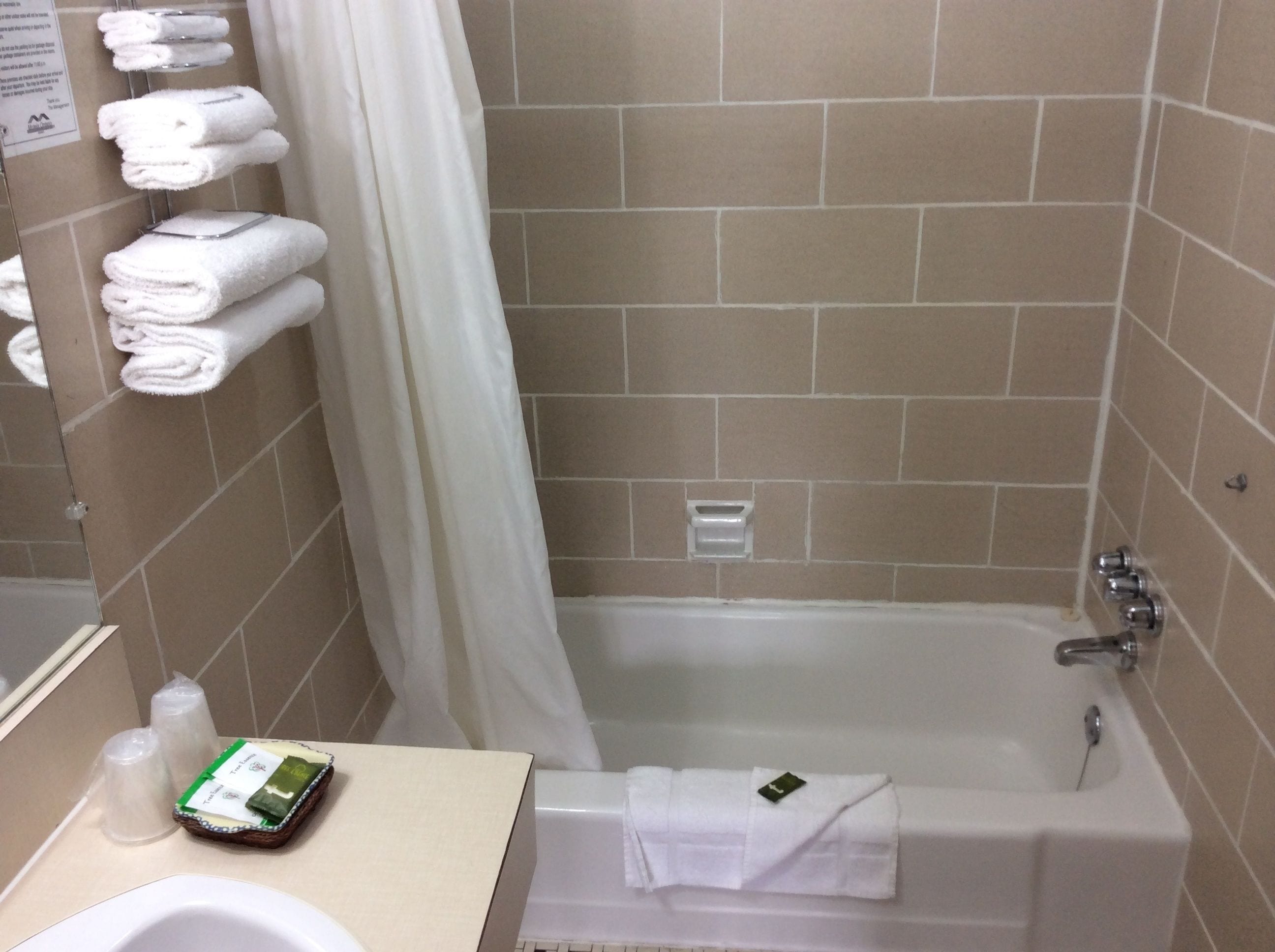 Combined shower/bathtub, free toiletries, hair dryer, towels