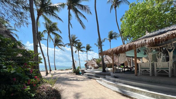 Un resort frente a la playa con construcciones de techo de paja, palmeras y una vista despejada del océano.