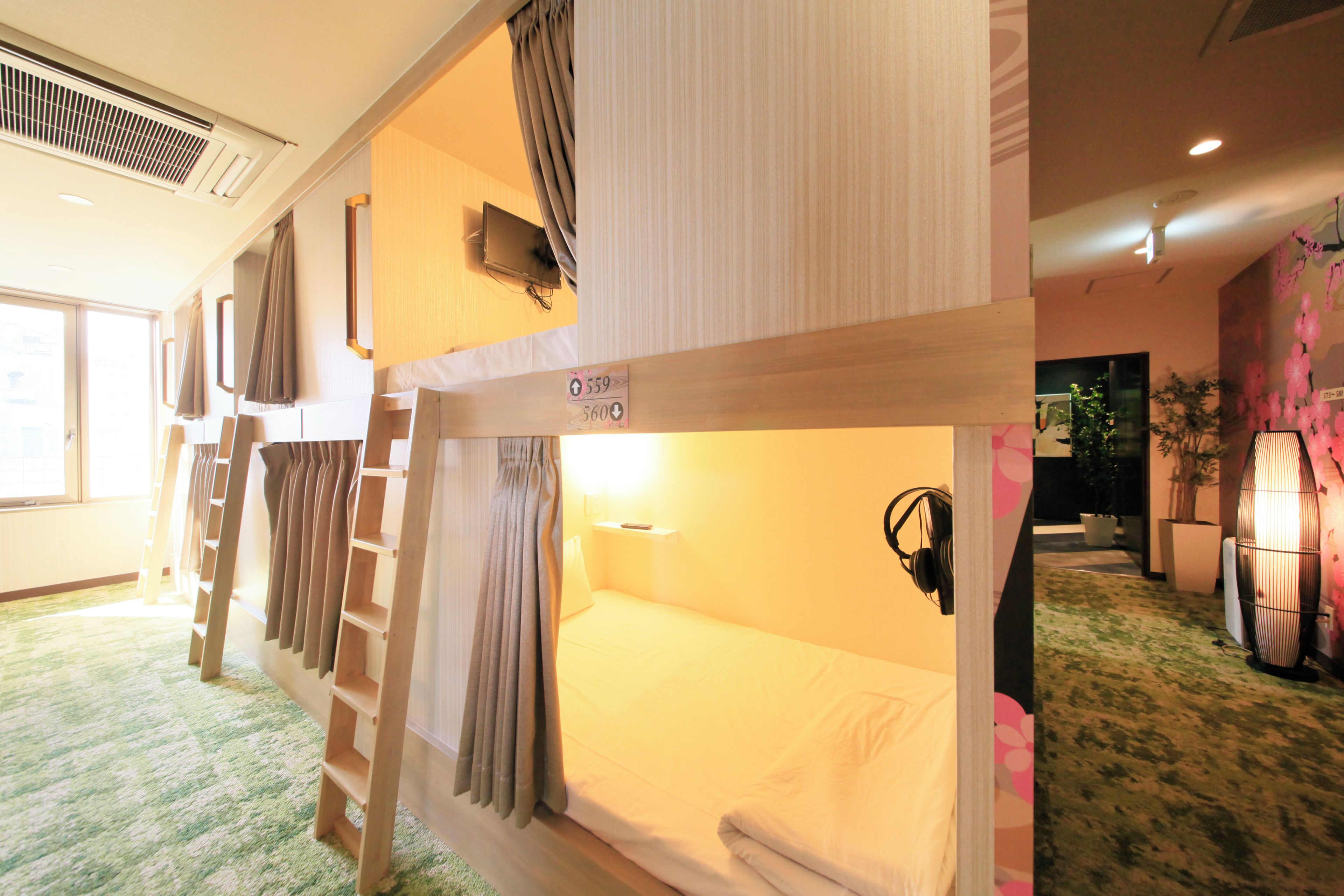 A hotel room with bunk beds, a ladder, a bedside table, a remote control, and a potted plant.