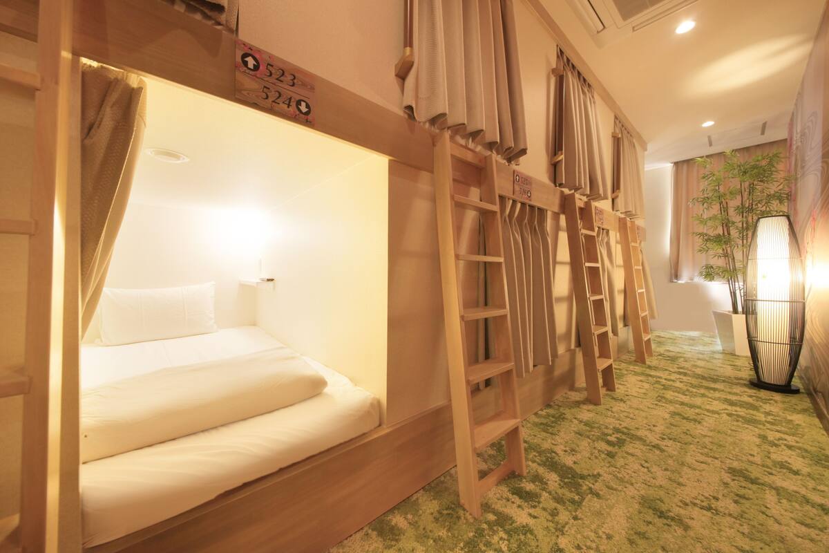 A hotel room with bunk beds, a ladder, and a large potted plant.