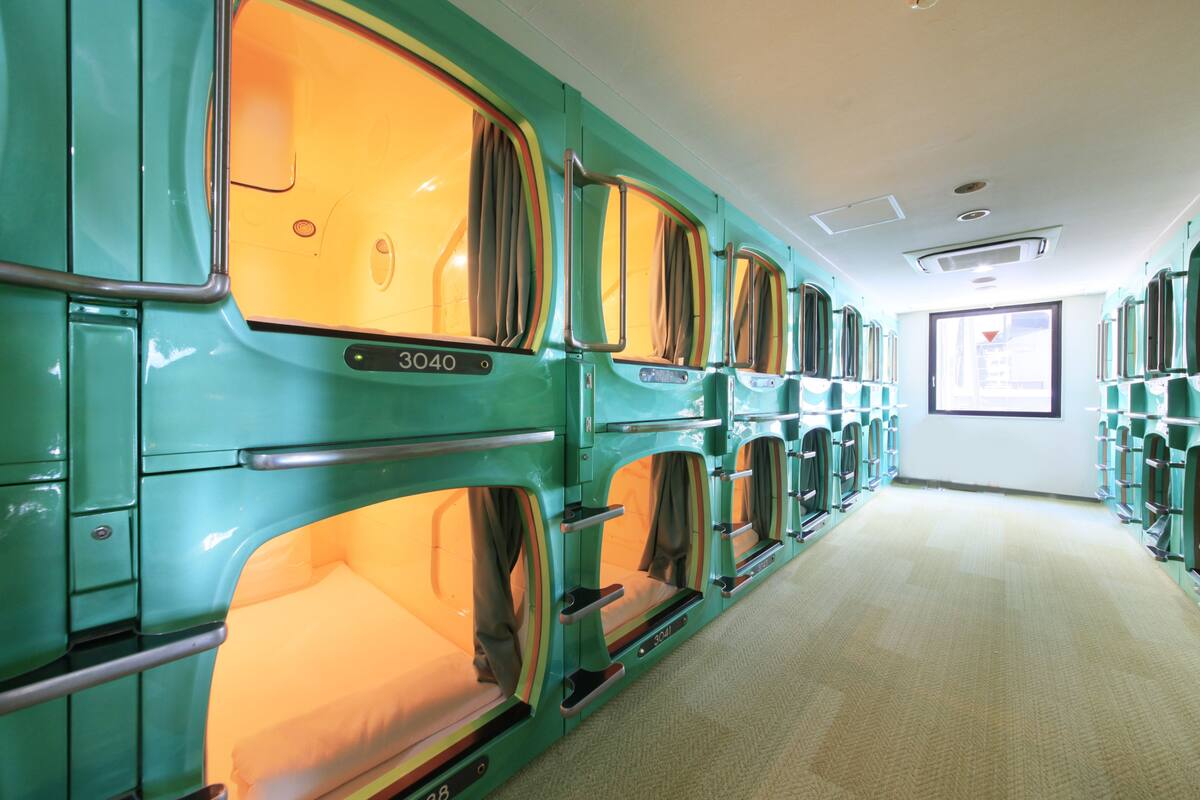 A row of bunk beds with a number '3040' on the side, a carpeted floor, and a window with a view.
