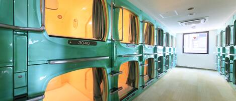 A row of bunk beds with a number '3040' on the side, a carpeted floor, and a window with a view.