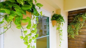 A balcony with potted plants and a wooden fence. - Hotel Color (New Taipei City)