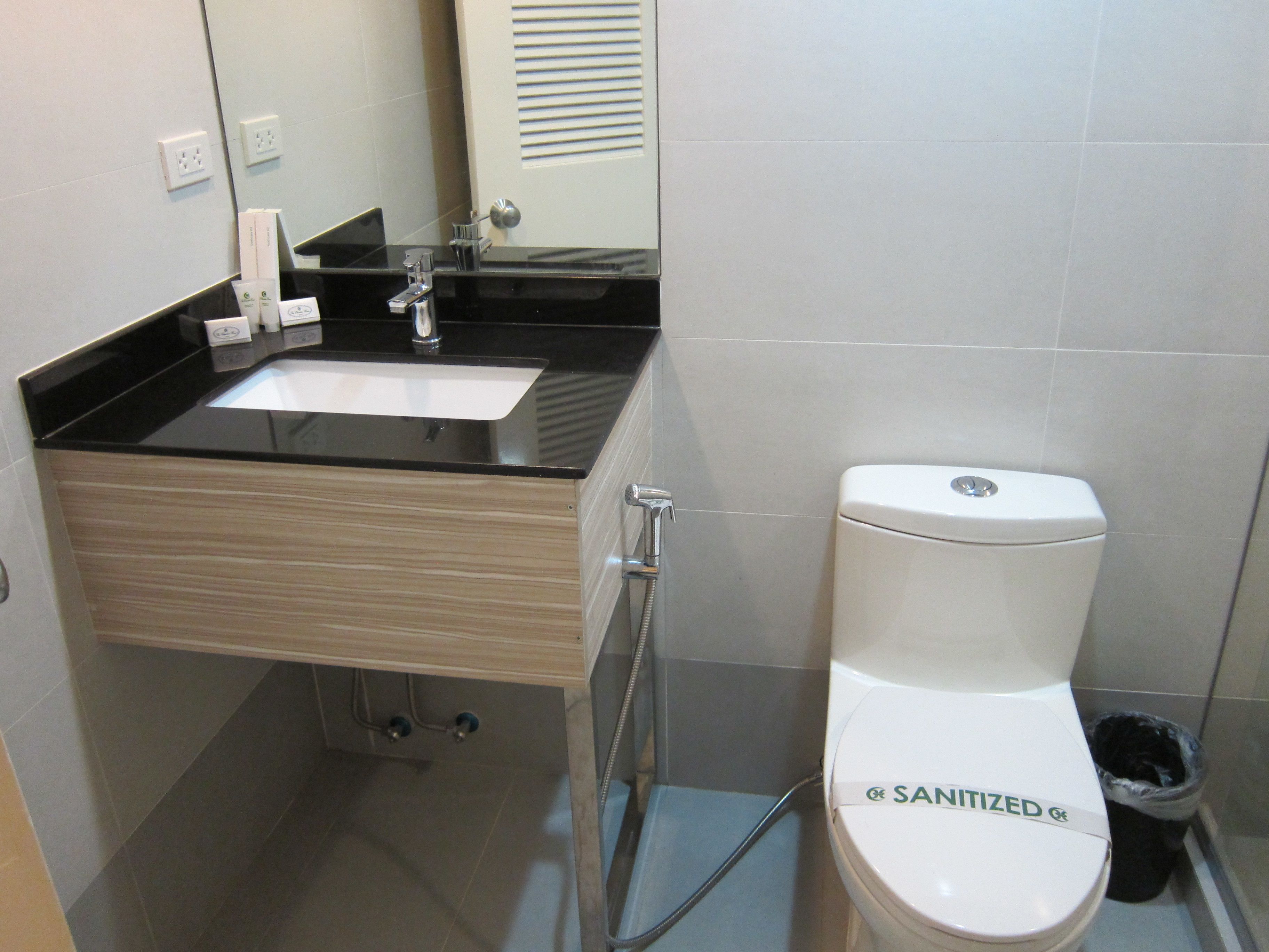 A bathroom with a white toilet, a black sink, and a mirror above the sink.