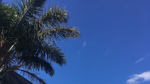 Un letrero para Abaco Accommodation con un número de contacto y sitio web.