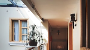 A corridor with wooden flooring, a potted plant, a staircase, and a window with curtains.