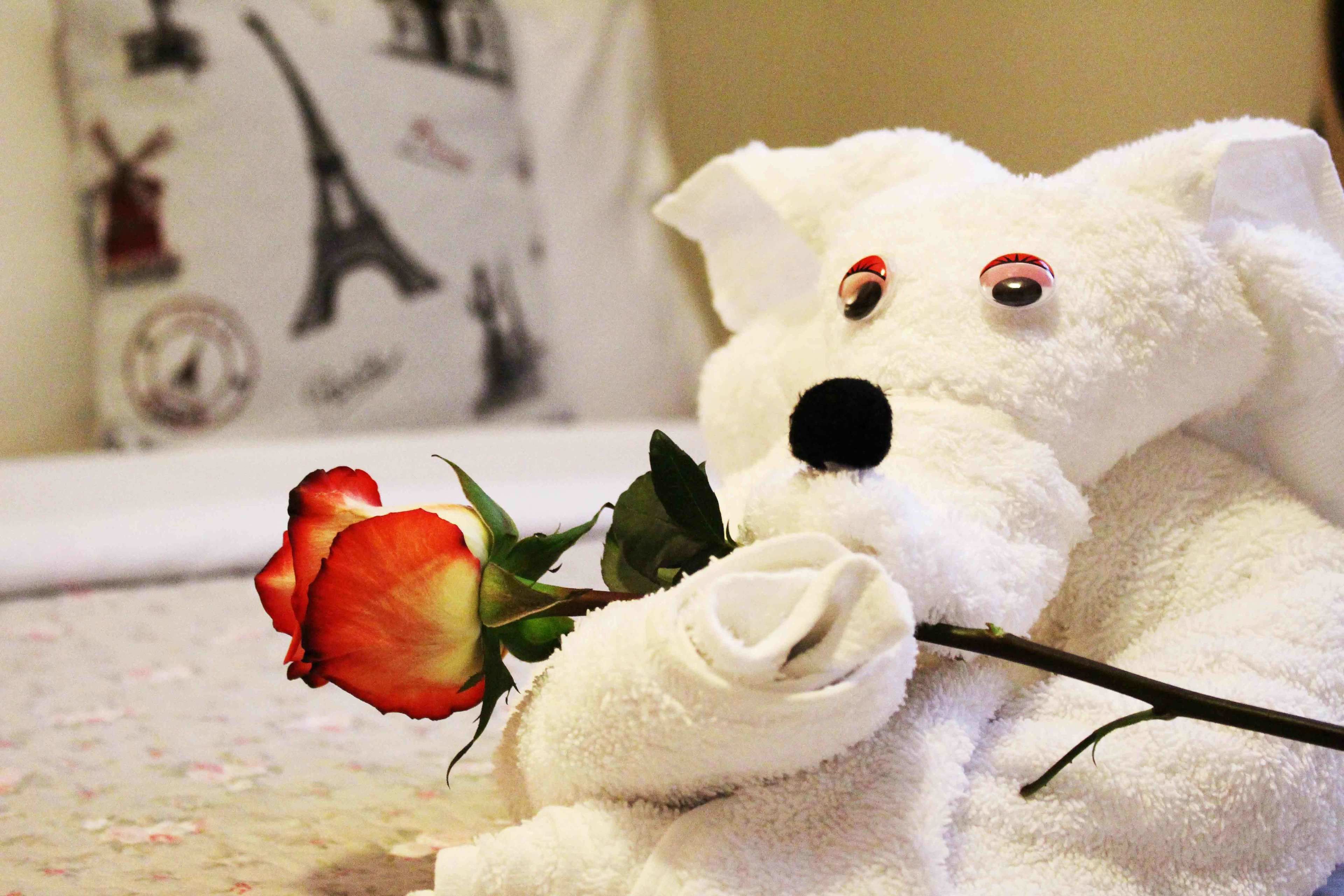 room service – dining