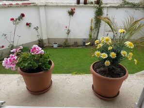 Courtyard view - Casa Fusión (La Paz)