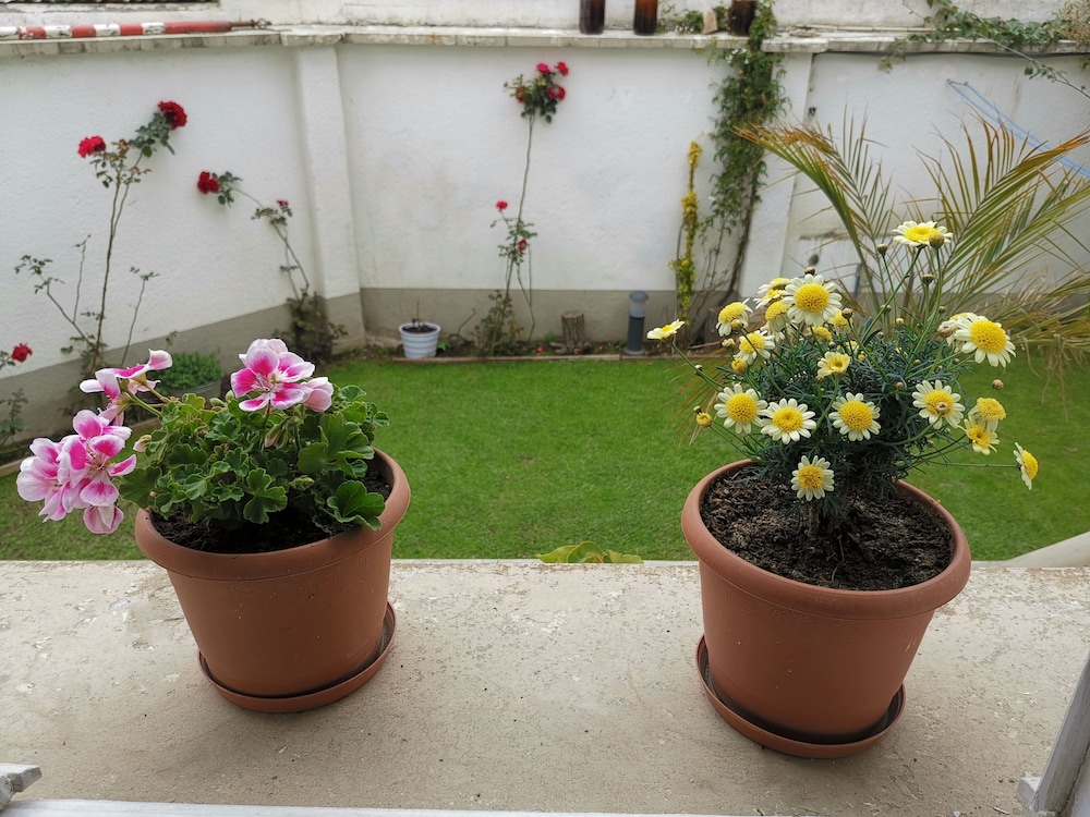 Casa Fusión Hotel Boutique by null