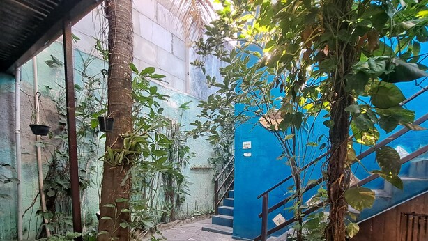 Un stretto sentiero in pietra conduce a una scala azzurra, immersa nel verde e circondata da piante in vaso.