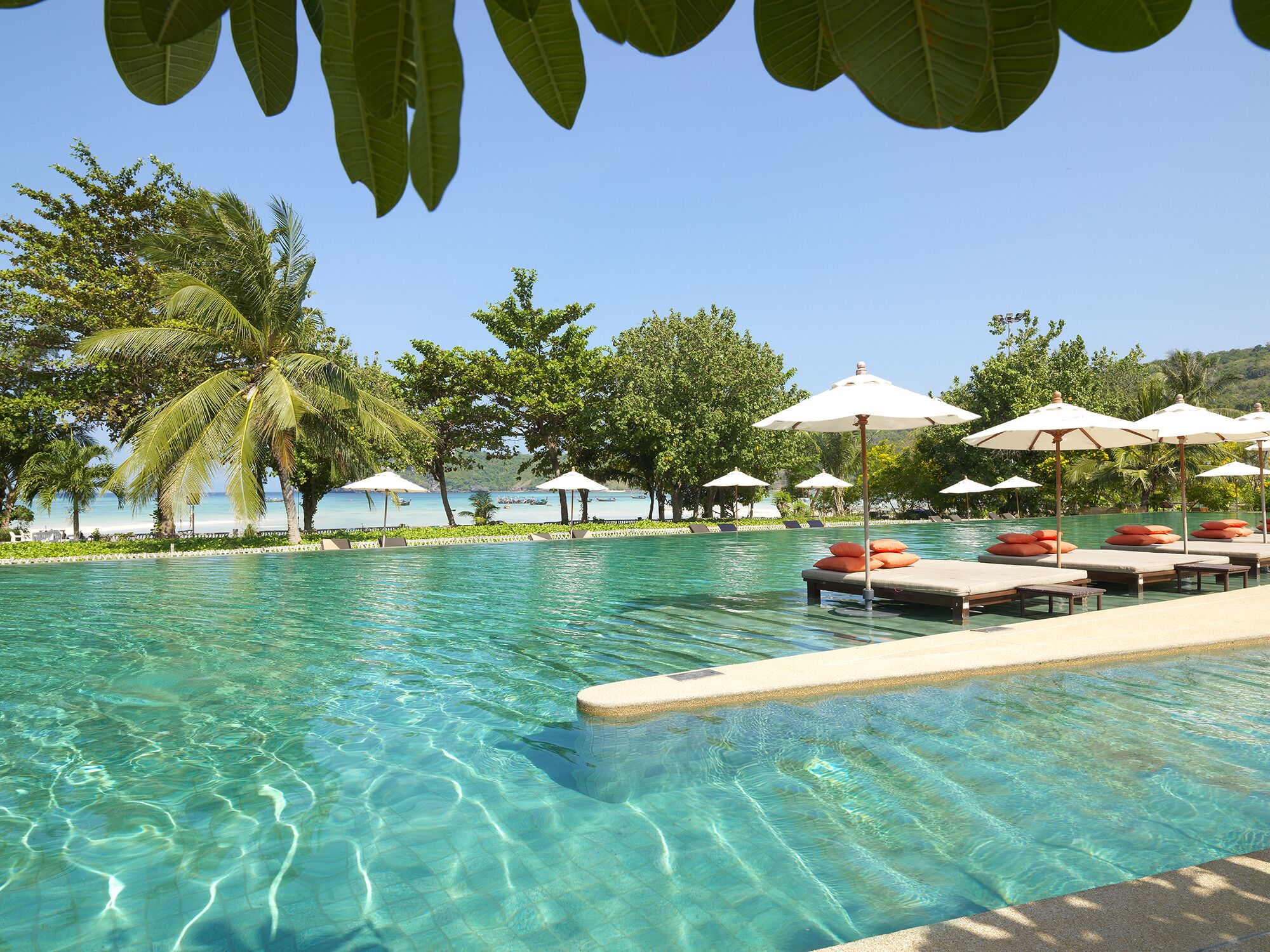 A clear swimming pool with lounge chairs and umbrellas, surrounded by trees and a view of the sea.