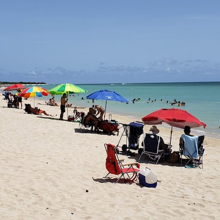 A beach with rows of colorful umbrellas and beach chairs, people relaxing and swimming in the water.