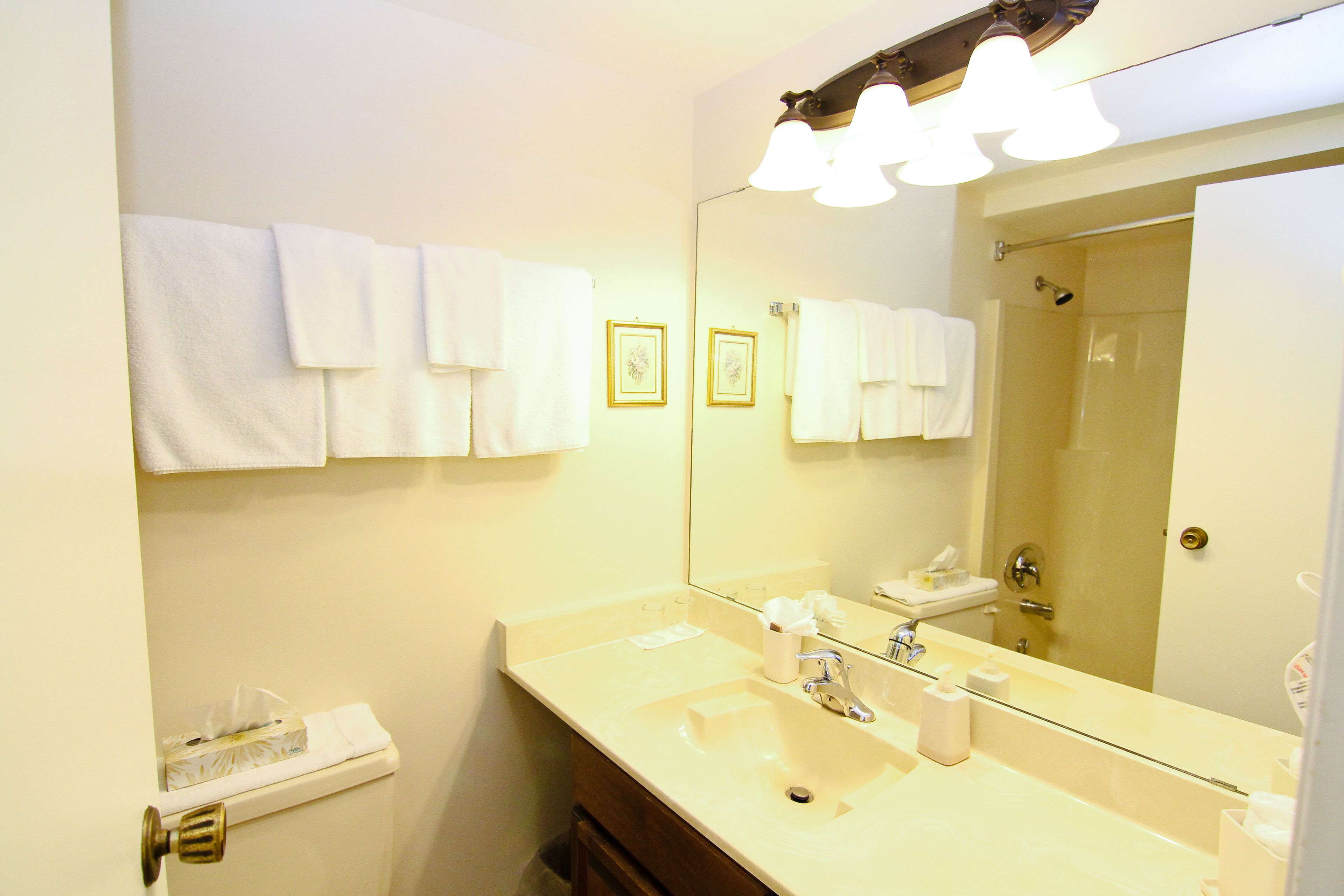 basic suite, 1 bedroom | bathroom | combined shower/bathtub, free toiletries, hair dryer, towels