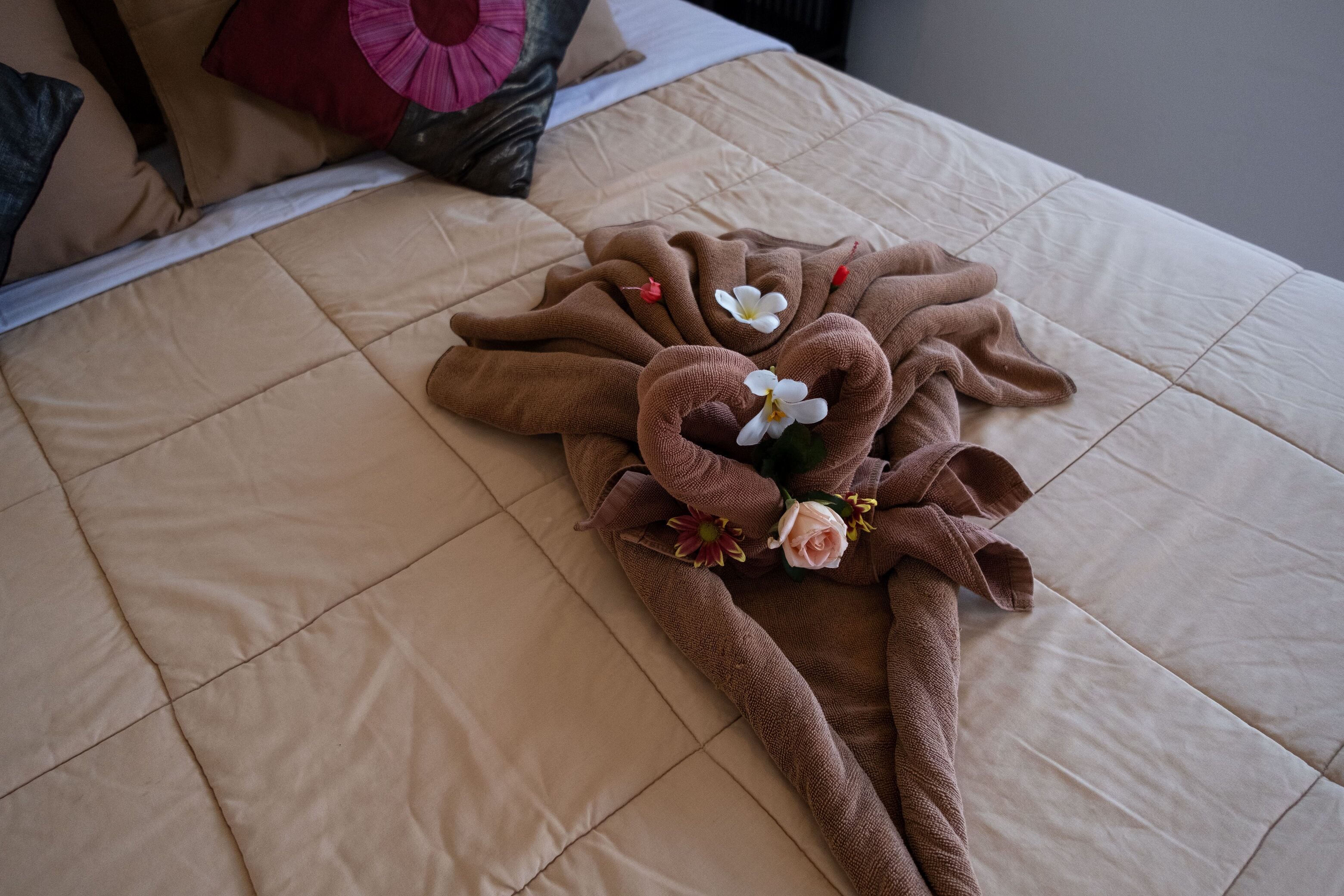 Foto - Absolute Scuba Bali Dive Resort