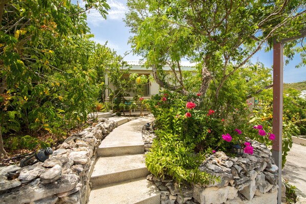 Un sendero de piedra conduce a un edificio rodeado de abundante vegetación y plantas en flor.