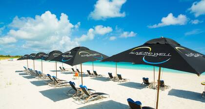 One On Marlin – Adults Only