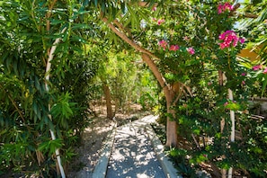 Garden - One On Marlin – Adults Only (Providenciales)