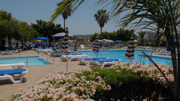 A pool area with lounge chairs and umbrellas, surrounded by palm trees and flowering bushes. - Maistrali Hotel Apts (Protaras)