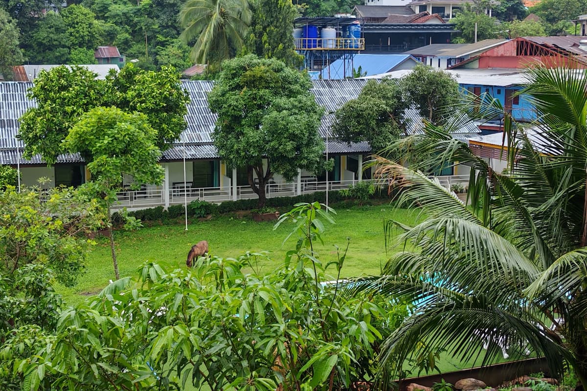 Deluxe Room | In-room safe, free WiFi, bed sheets