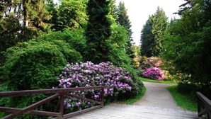 A wooden bridge in a lush garden with dense green foliage and flowering bushes. - Park Hotel Pruhonice (Pruhonice)
