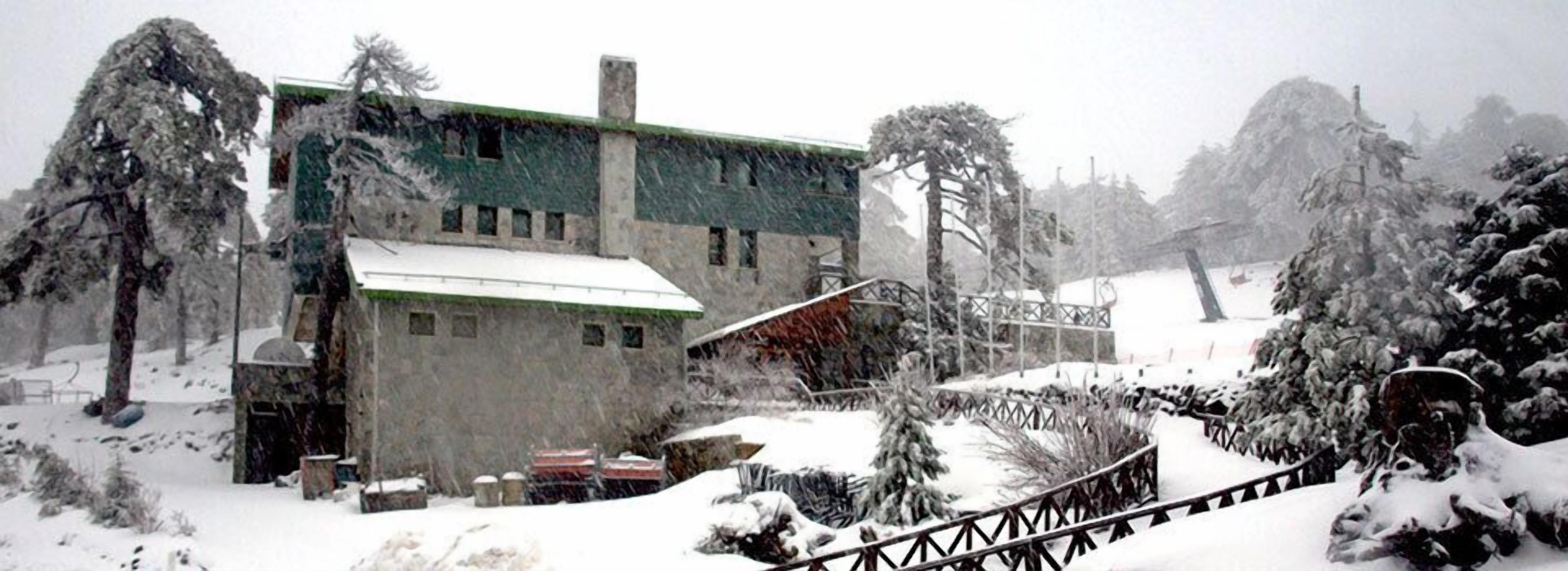 Un edificio con techo verde y varias ventanas, rodeado de árboles cubiertos de nieve y una valla.