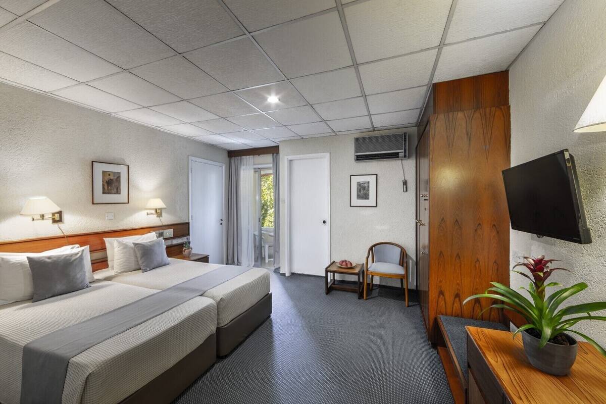A hotel room with a large bed, a desk with a chair, a TV mounted on the wall, and a potted plant.