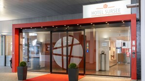 A modern hotel entrance with a red facade, a large glass door, and two potted plants.