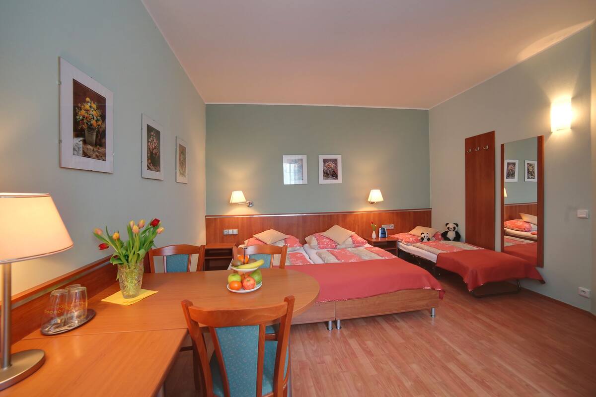 triple room | desk, blackout curtains, soundproofing, iron/ironing board