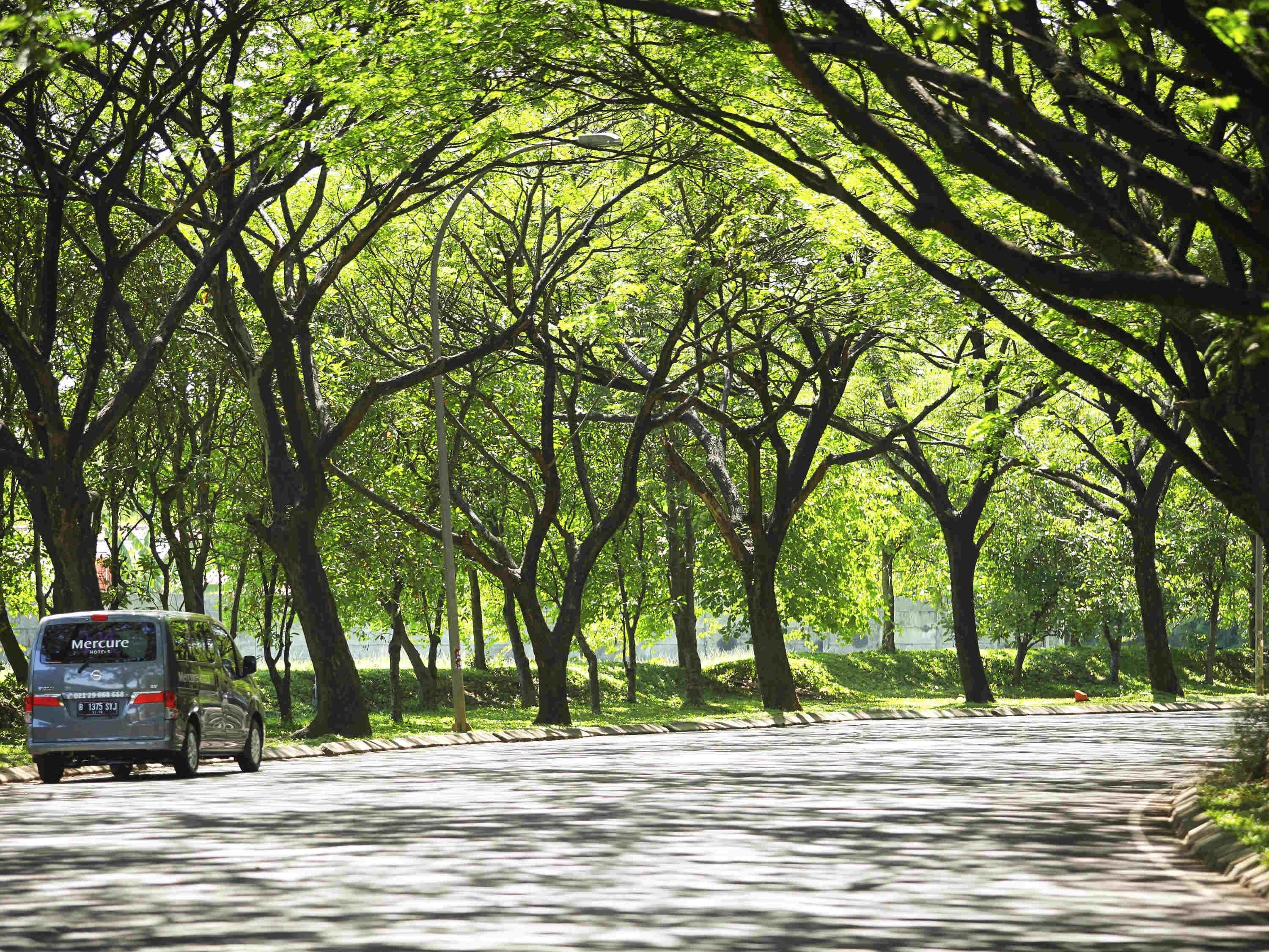 A tree-lined road with a parked van labeled 'Mercure Hotels.'