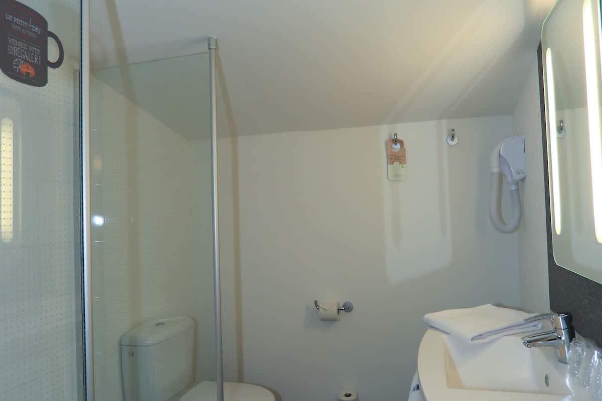 standard double room, 1 double bed | bathroom | shower, eco-friendly toiletries, hair dryer, towels
