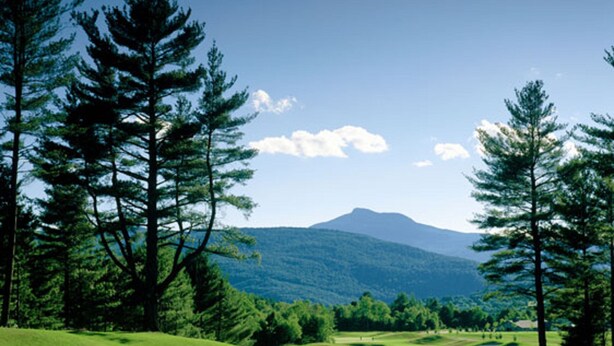 A golf course with a mountain in the background and tall pine trees.