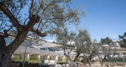 La Vague De Saint Paul