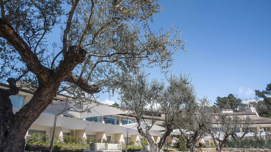 La Vague De Saint Paul