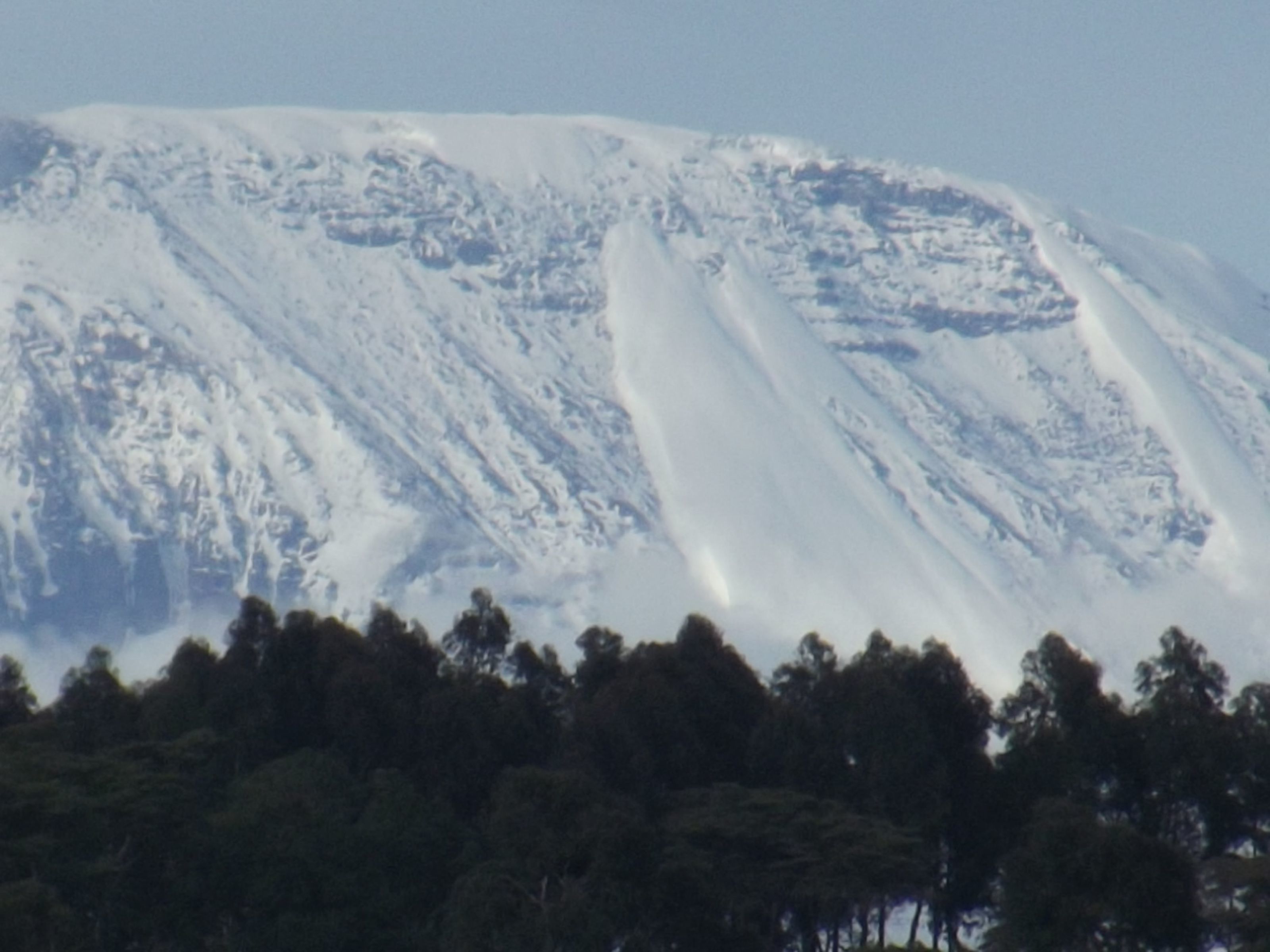 A snow-covered mountain with a forest at its base.