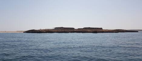 Beach nearby, sun loungers