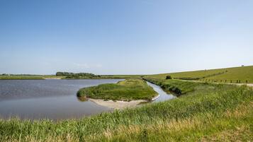 Ein Fluss schlängelt sich durch eine grüne Landschaft unter blauem Himmel.