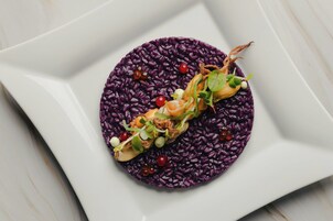 Um prato quadrado branco com uma substância roxa granulada e um enfeite central de vegetais, além de um pedaço de comida.
