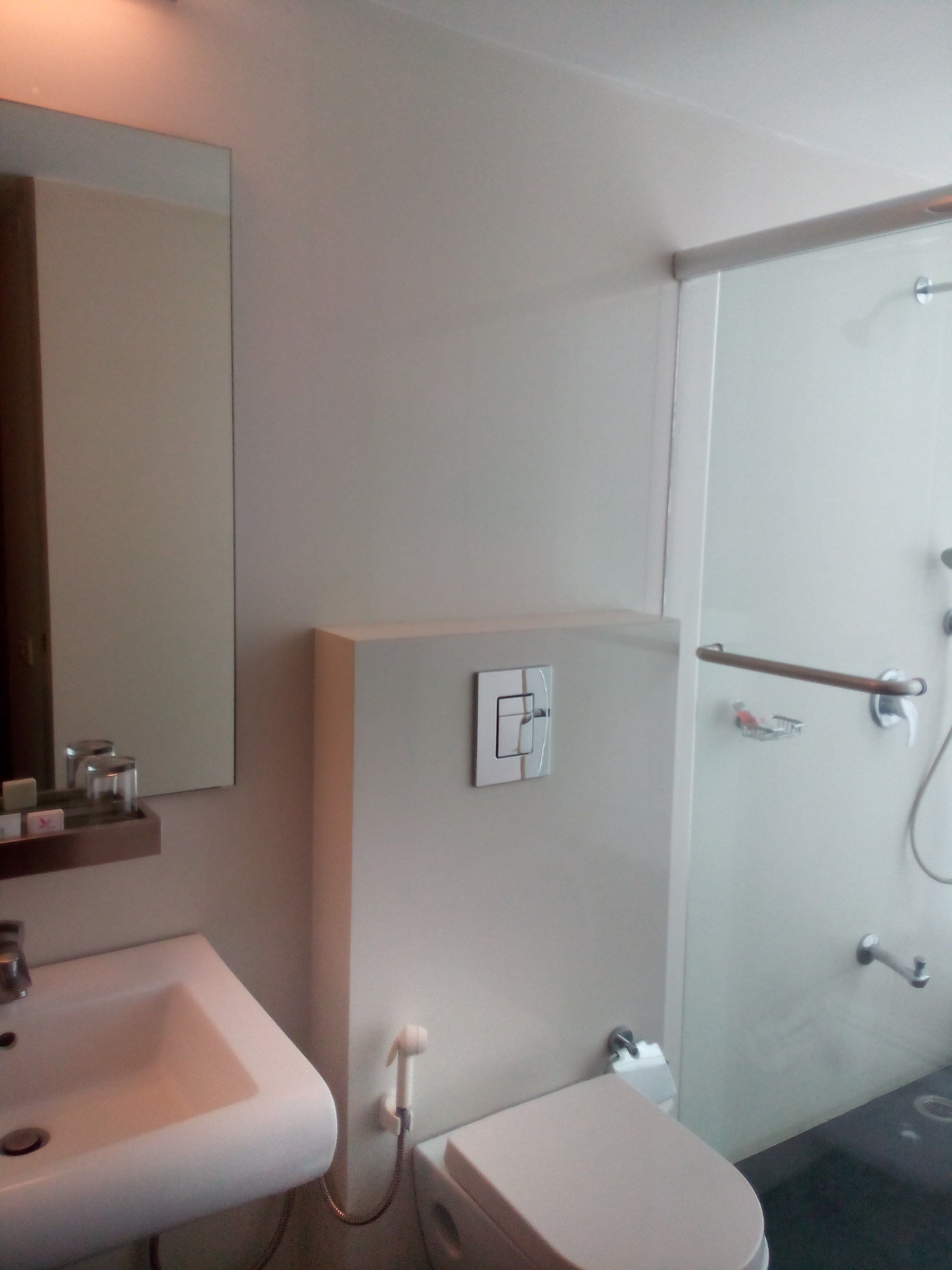 Baño con lavamanos, inodoro y ducha.