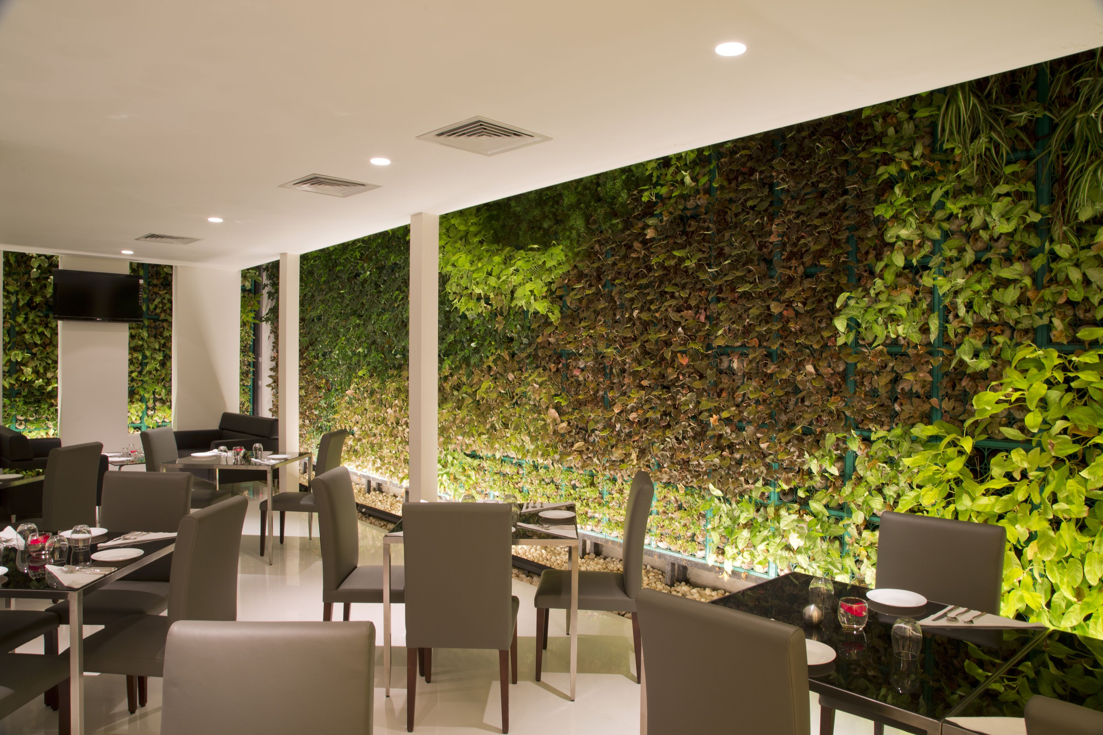 A modern restaurant with a green leafy wall, dining tables, and chairs.