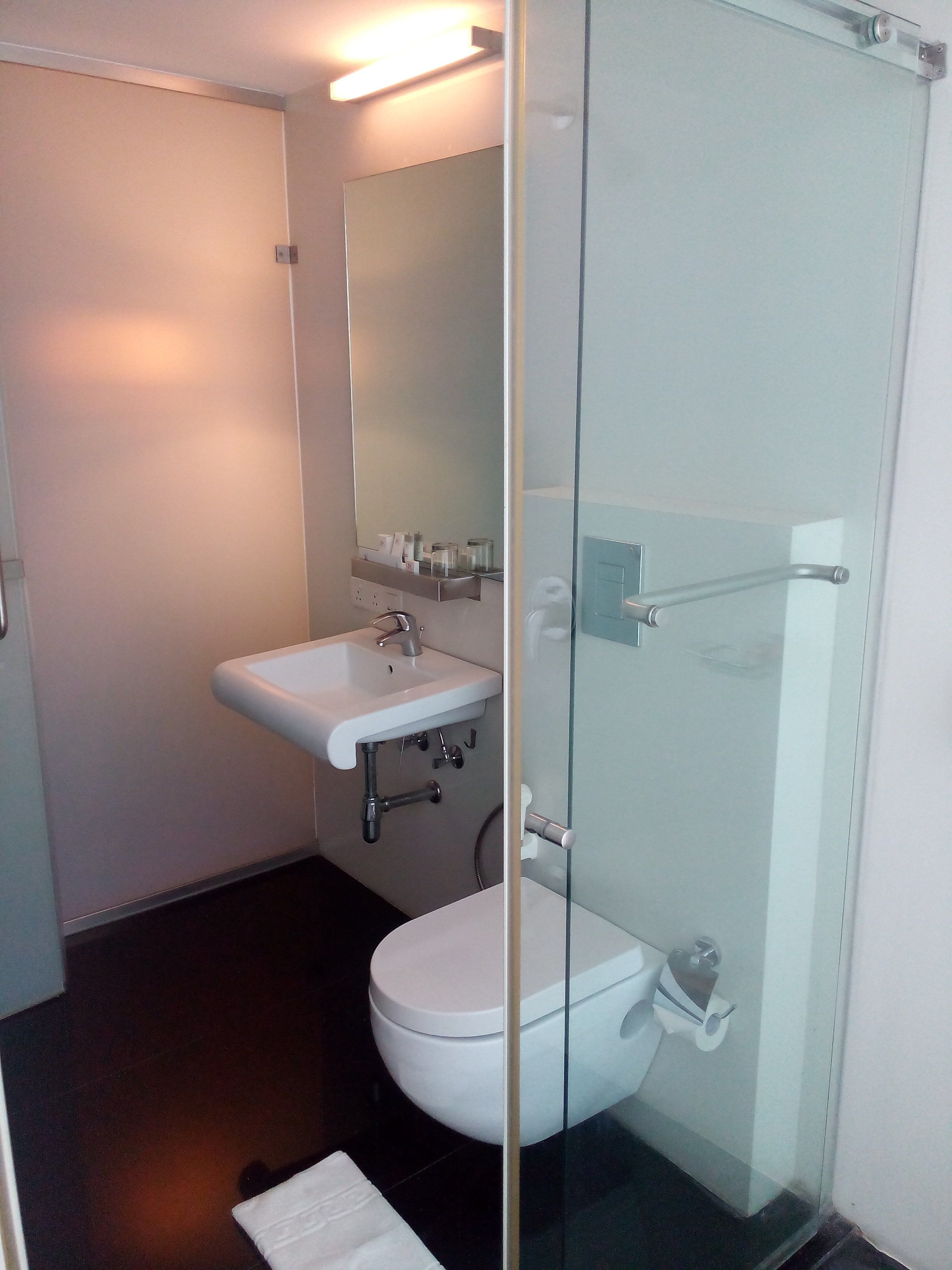 A modern bathroom with a glass shower enclosure, a white sink, and a toilet.